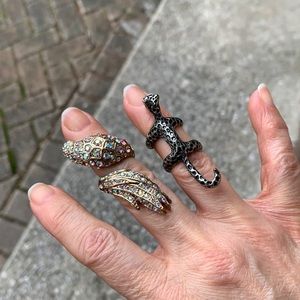 🌷3 for$25🌷Unbranded, Set of 2 Rings, Gold Bird Ring & Silver Cheetah Ring